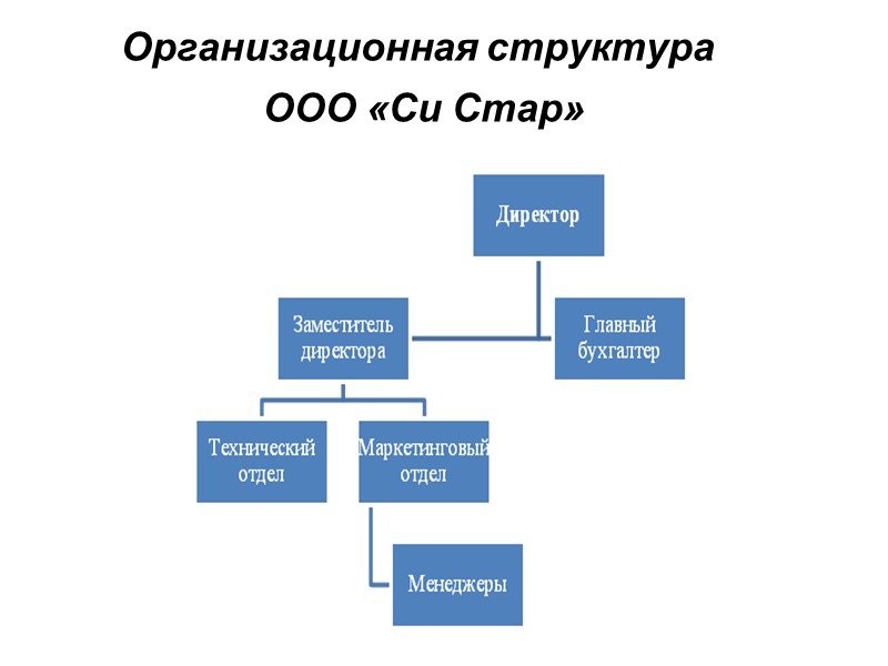 Организационная структура  ООО «Си Стар»